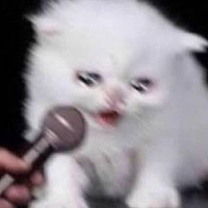 Meet your Posher, Mayra